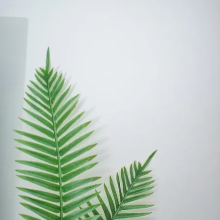 Black And White 1 Thessaloníki