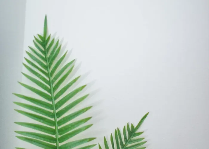 Black And White 1 塞萨洛尼基